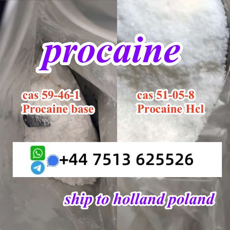 Cas 59-46-1 Procaine Base Powder Procaine Hcl Safe Ship To Holland Poland