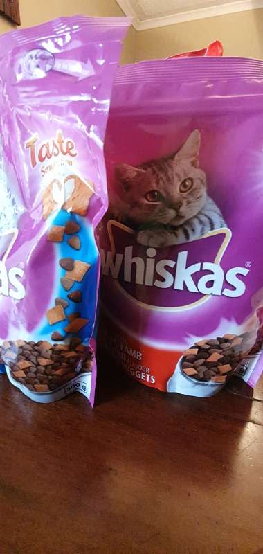 Cheap Cat Food