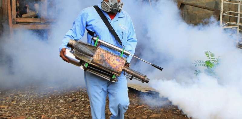 fumigation and pest control services