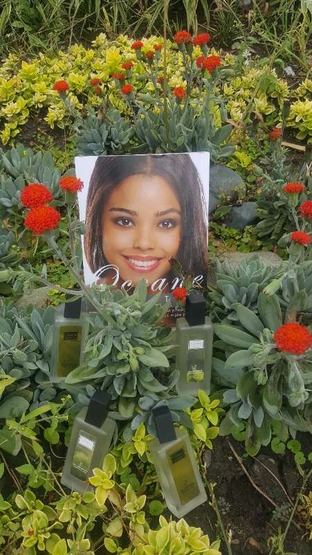 Oceane Collection Perfumes