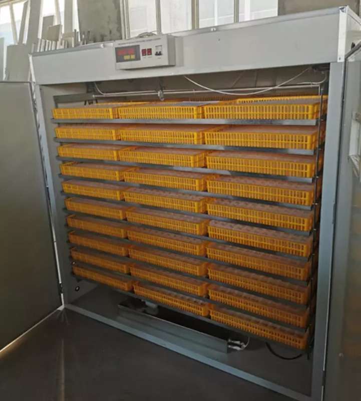 Chicken Usage And New Condition 5280 Egg Incubator Sale