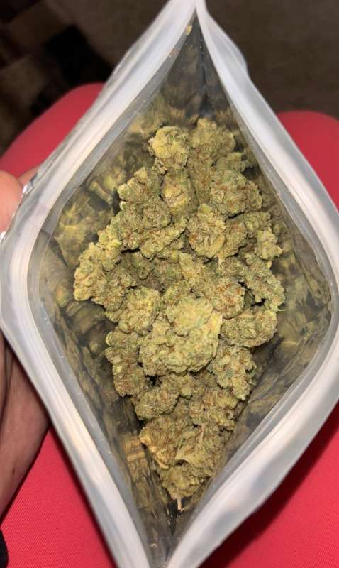 Whatsapp ? +1 4784120391 To Buy Cbd Oil,buy Weed, Powerful Strains Of Weed,buy Weed    Telegram @maddison213 Email Address :dsmithsusie6@gmail.com