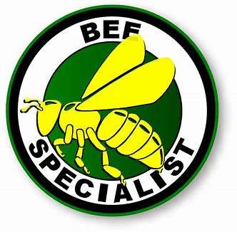 bee removal services  | pest control company