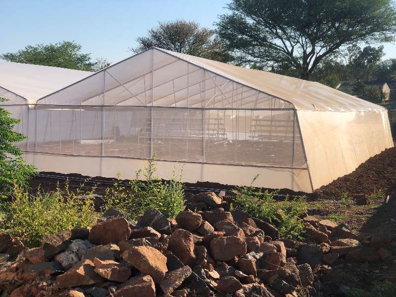 Greenhouse Construction 300sqm