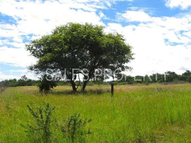 Property In Lochview Bulawayo