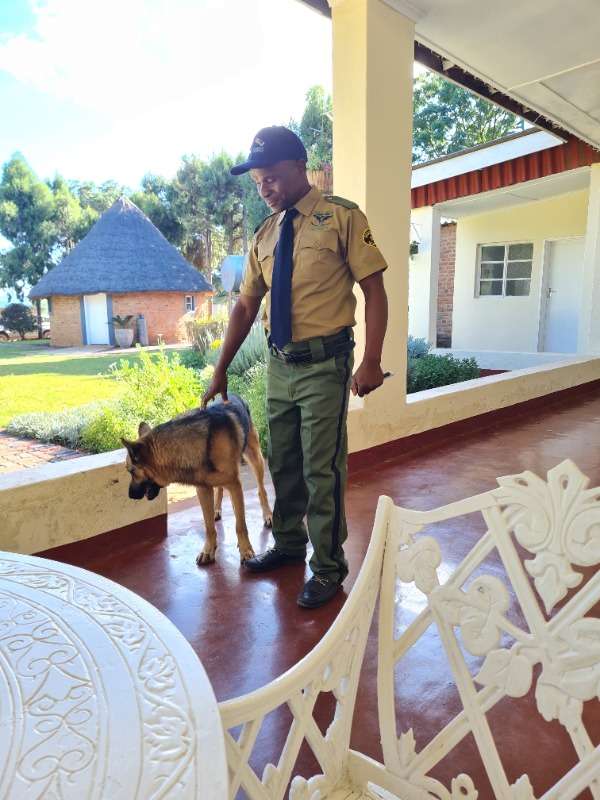 Security And Guarding Services