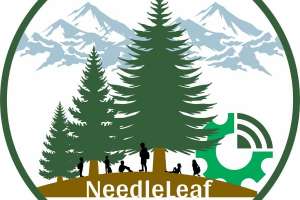 Needleleaf Foundation