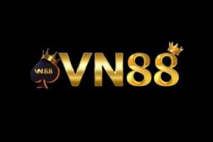 Vn8868top