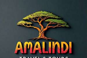 Amalindi Travel And Tours