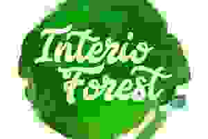 Interioforest Plantscaping