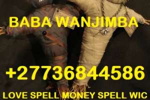 Traditional Healer