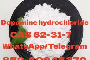 Dopamine Hydrochloride  Cas 62-31-7