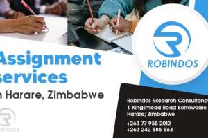 Assignment Writing Services In Zimbabwe