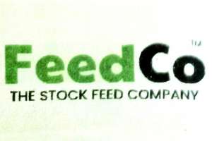 Chicken Feed