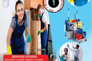 Marknew Cleaners