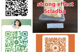 Direct Selling High Purity Precursor Adbb/5cladb/5cladba/5cl-adb