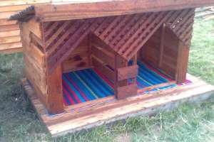 dog kennels