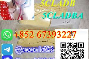 5cladba,5cladba,5cl,5cl-adb-a,yellow Powder