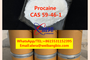 Supply High Quality Procaine Cas 59-46-1