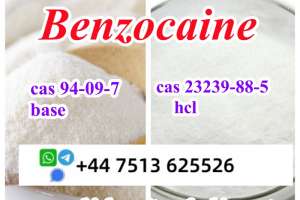 Cas 94-09-7 Benzocaine Base Powder Cas 23239-88-5 Benzocaine Hcl High Purity