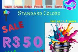 Good Quality Paint For Sale