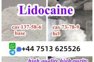 High Quality Cas 137-58-6 Lidocaine Base Cas 73-78-9 Lidocaine Hcl Global Ship