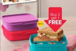 Tupperware Lunchboxes