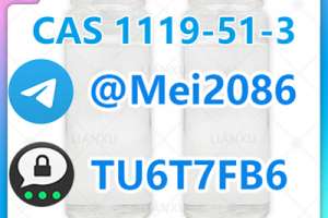 5-bromo-1-pentene Cas 1119-51-3 With Best Price And High Purity