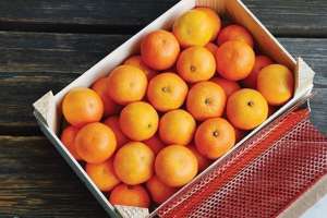 Mandarin Fruits For Sale