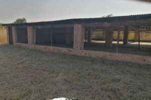 Chicken Houses For Rental