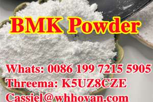 Bmk Glycidic Acid (sodium Salt) Cas 5449-12-7 In Stock