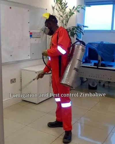 View 4 of fumigation and pest control services
