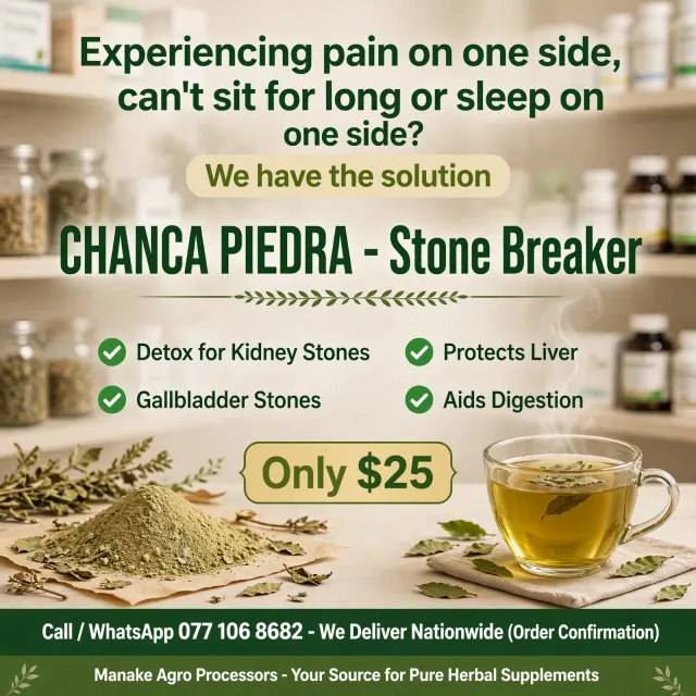 Chanca Piedra Stone breaker